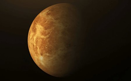 How to balance relationships with Venus cycles